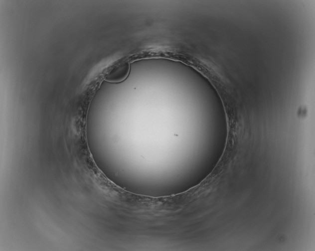 X0000111951207200907271429