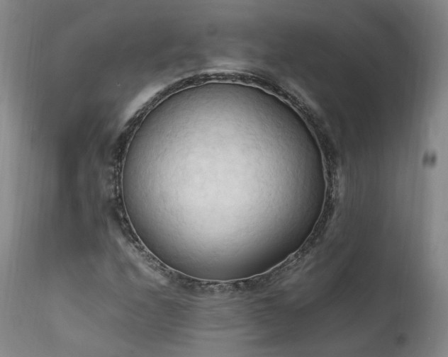 X0000111951208200907271429