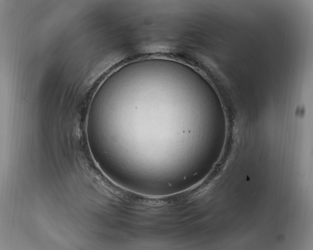 X0000111951209200907271429