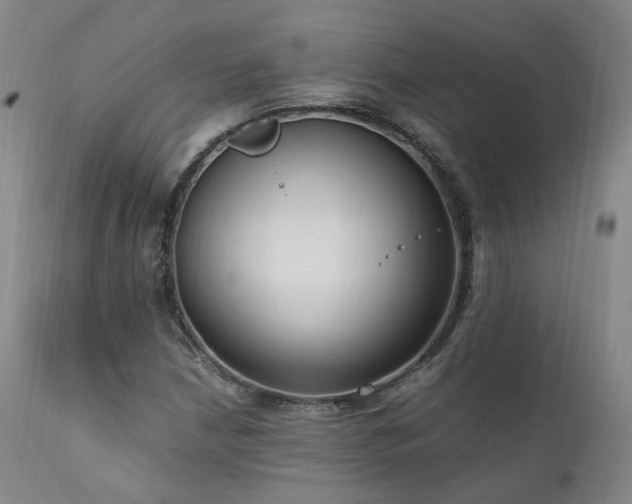 X0000111951210200907271429