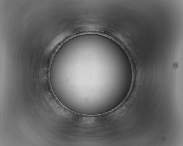 X0000111951211200907271429