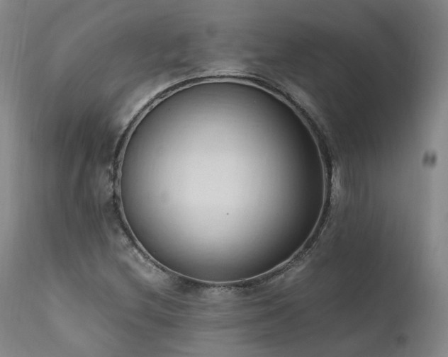 X0000111951212200907271429