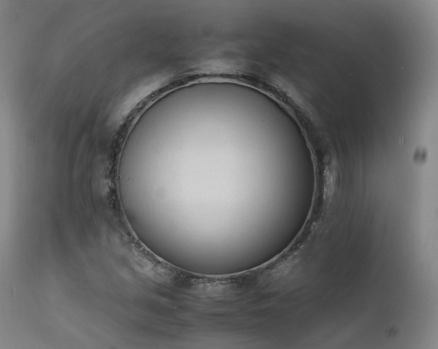 X0000111951213200907271429
