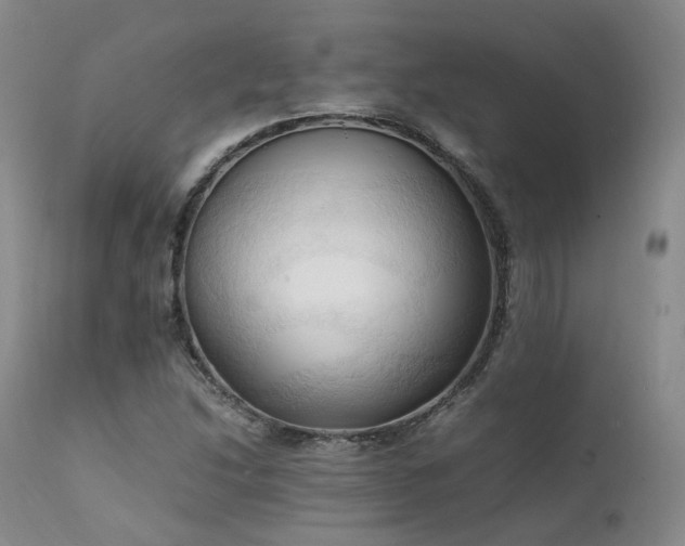 X0000111951214200907271429