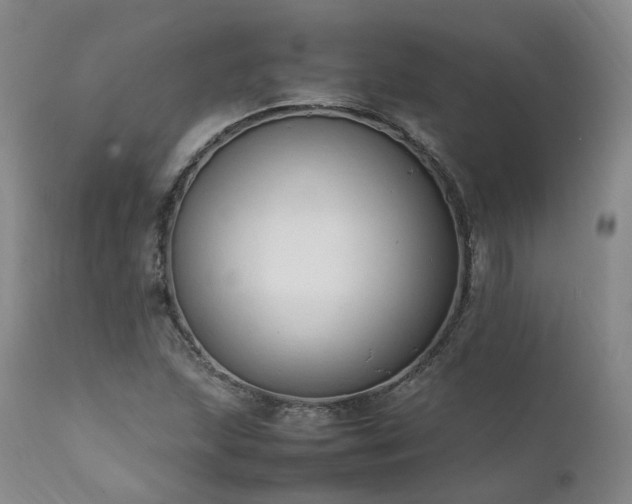 X0000111951215200907271429