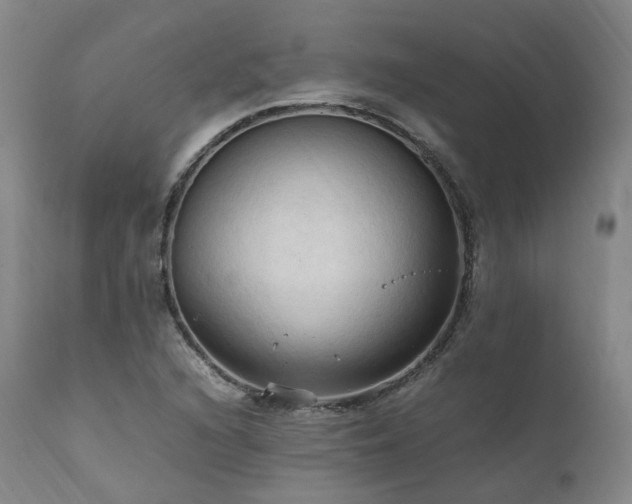 X0000111951216200907271429
