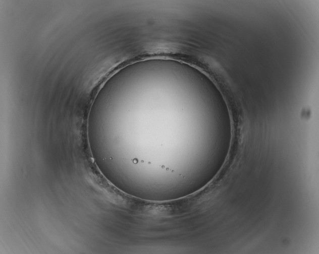 X0000111951217200907271429