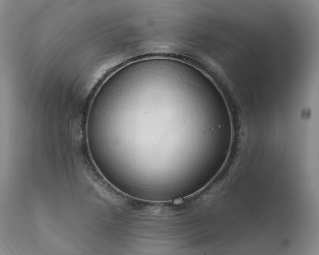 X0000111951218200907271429