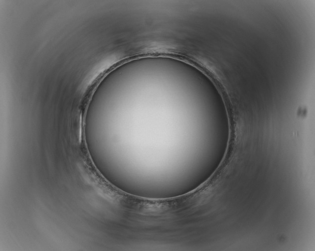 X0000111951219200907271429