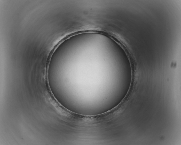 X0000111951220200907271429