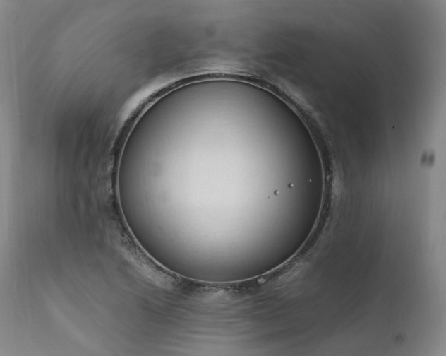 X0000111951222200907271429