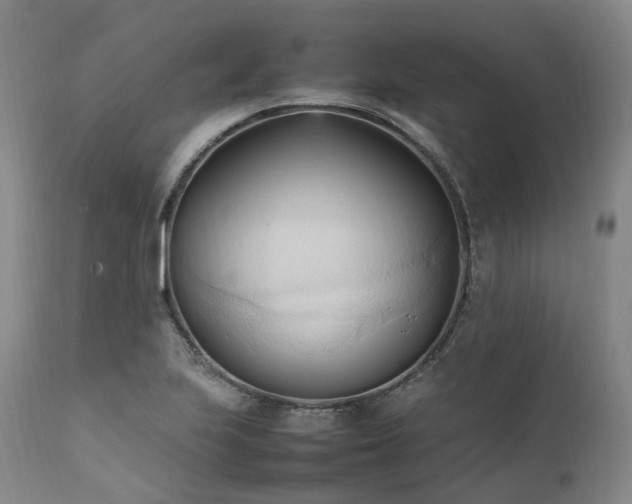 X0000111951223200907271429