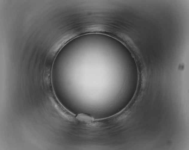 X0000111951225200907271429