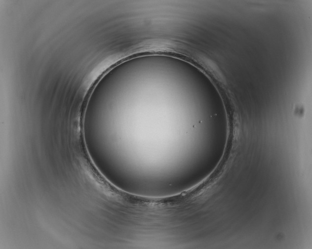 X0000111951226200907271429