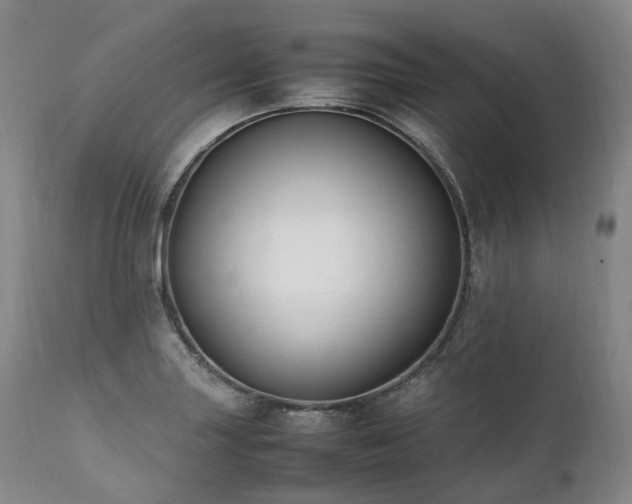 X0000111951227200907271429