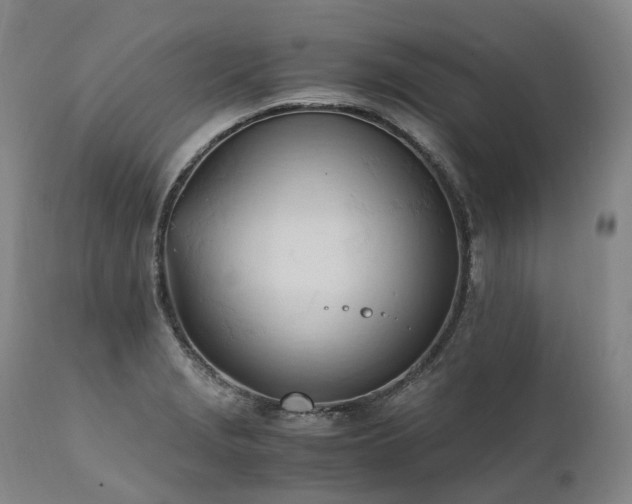X0000111951229200907271429