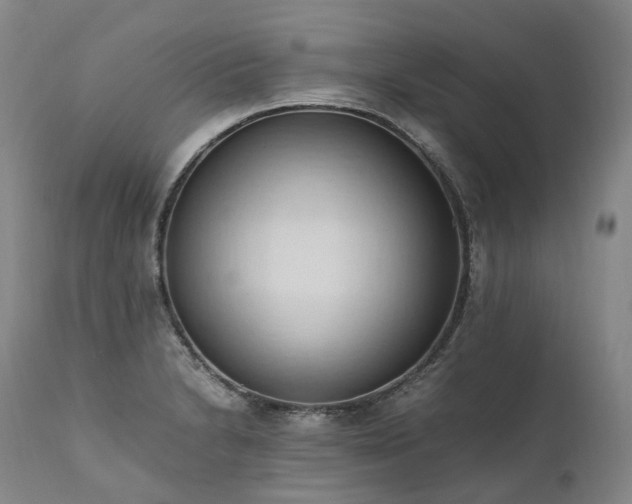 X0000111951230200907271429