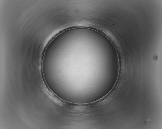 X0000111951232200907271429