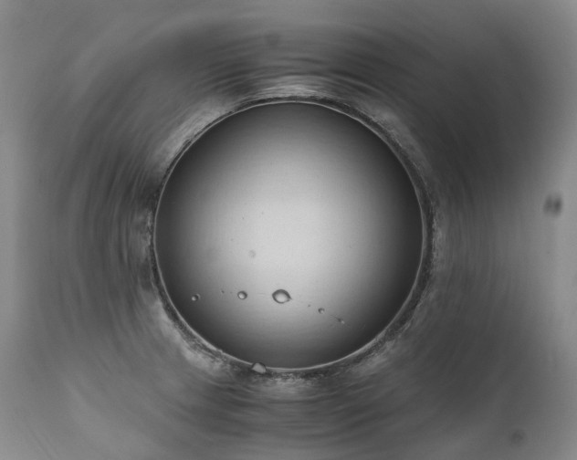 X0000111951233200907271429