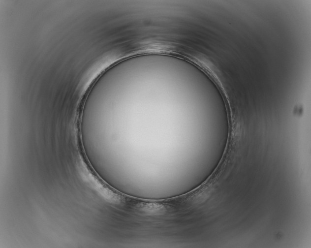 X0000111951235200907271429