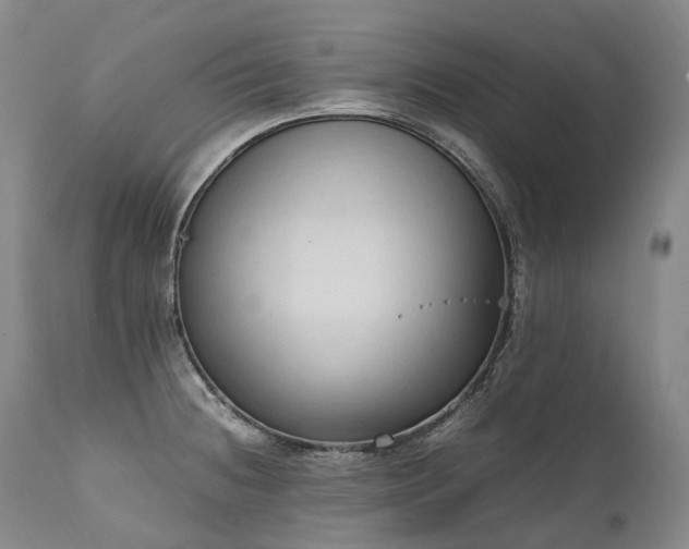 X0000111951236200907271429