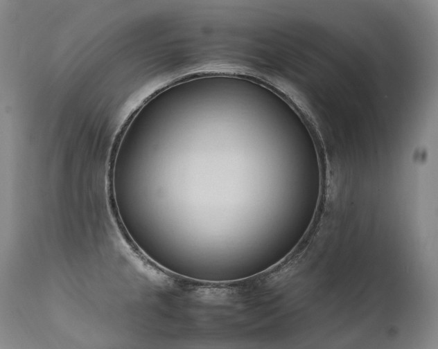 X0000111951237200907271429