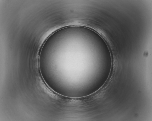 X0000111951238200907271429