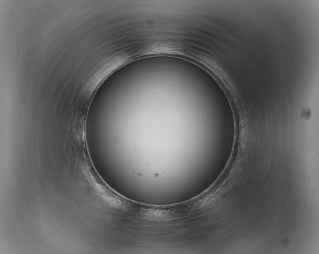 X0000111951241200907271429