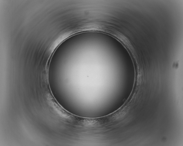 X0000111951242200907271429
