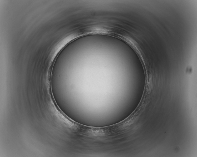 X0000111951243200907271429