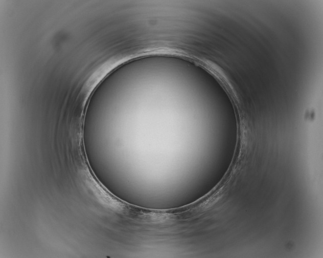 X0000111951244200907271429