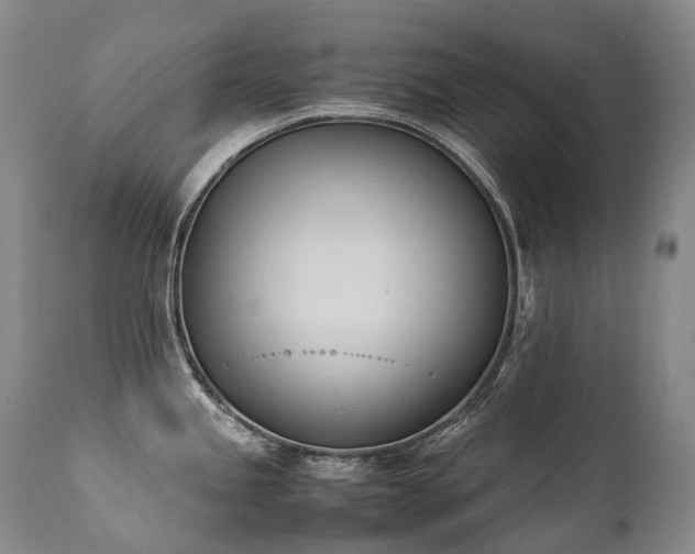 X0000111951245200907271429