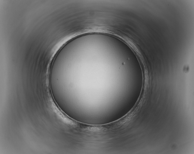 X0000111951246200907271429