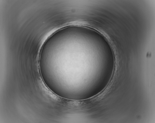X0000111951248200907271429