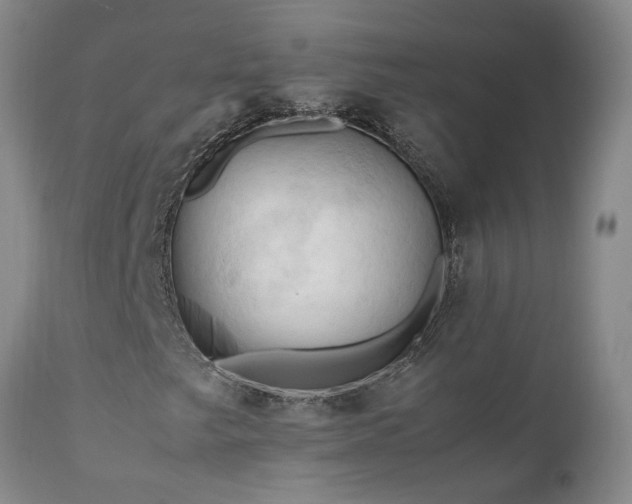 X0000111951249200907271429
