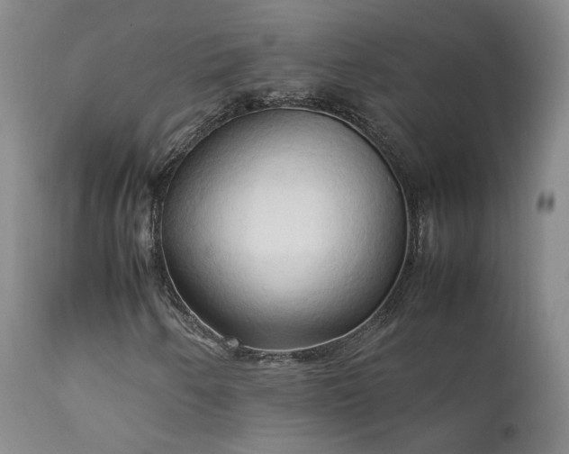 X0000111951250200907271428