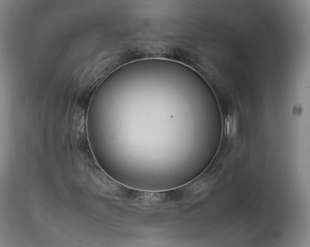 X0000111951251200907271428