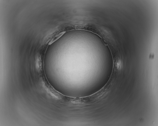 X0000111951252200907271428