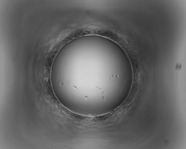 X0000111951253200907271428