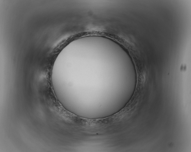 X0000111951254200907271428