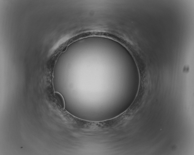 X0000111951255200907271428