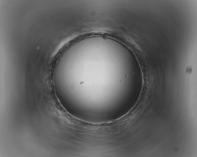 X0000111951256200907271428