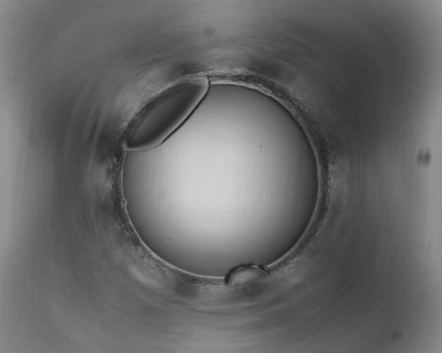X0000111951257200907271428