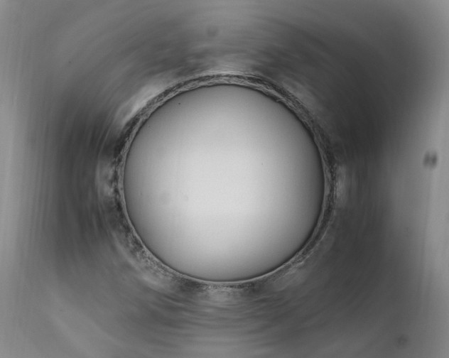 X0000111951258200907271428