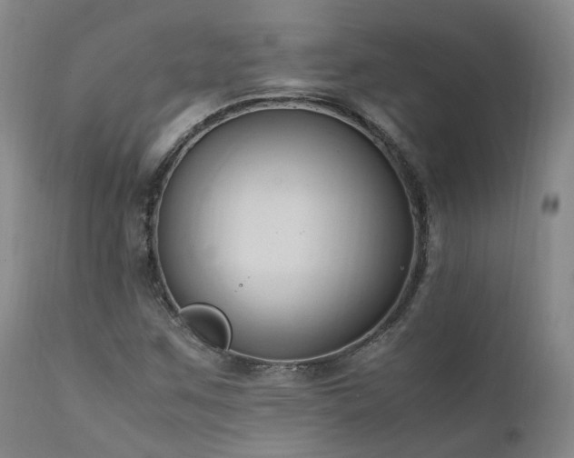 X0000111951259200907271428