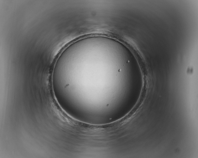 X0000111951260200907271428