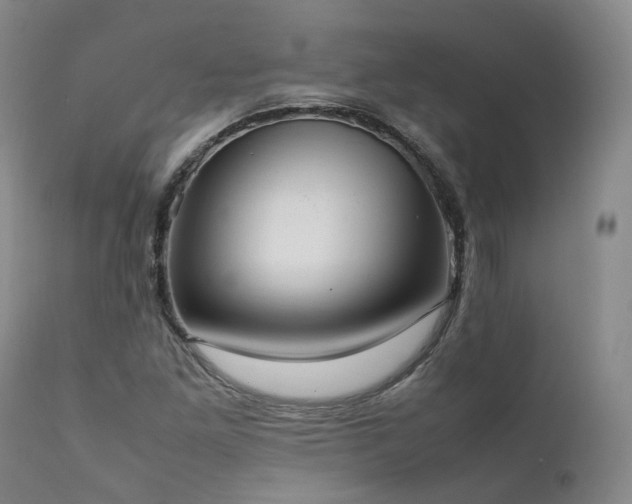 X0000111951261200907271428