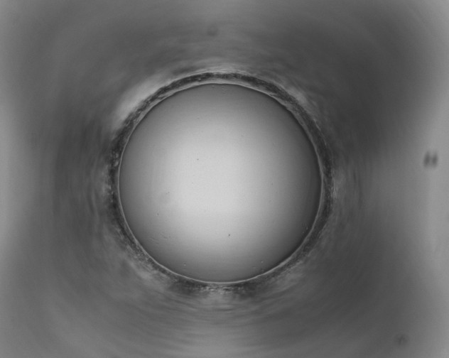 X0000111951263200907271428