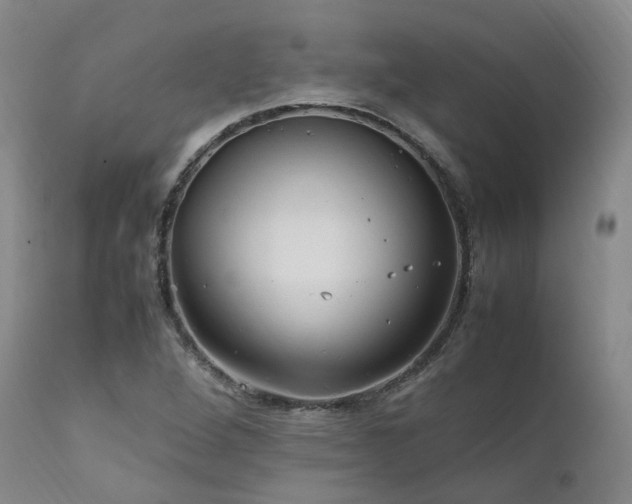 X0000111951264200907271428