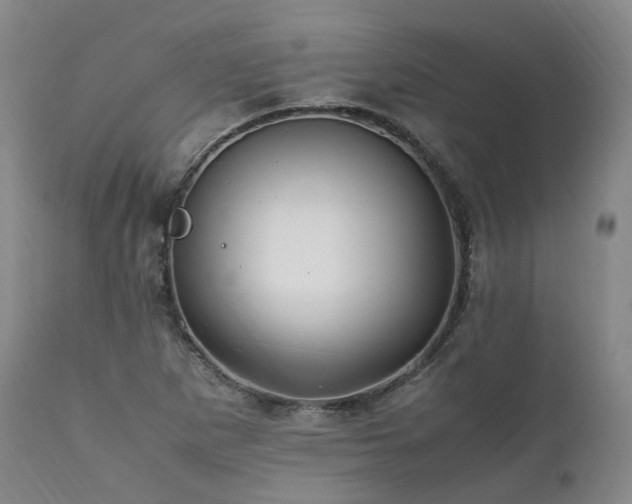 X0000111951265200907271428